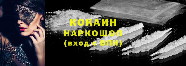 шишки Киренск