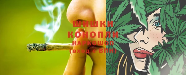 шишки Киренск