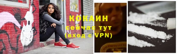 шишки Киренск