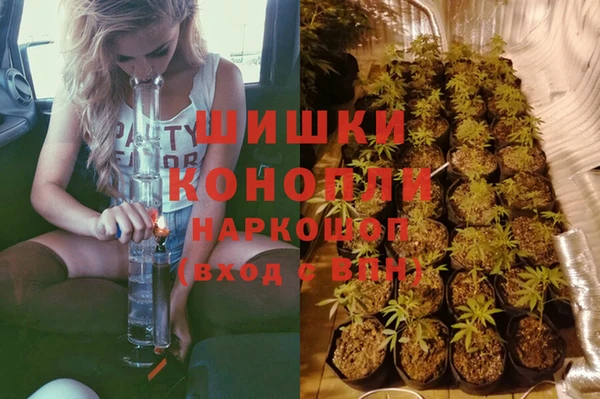 шишки Киренск