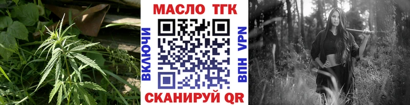 Купить закладки  Знаменск  ТГК гашишное масло 